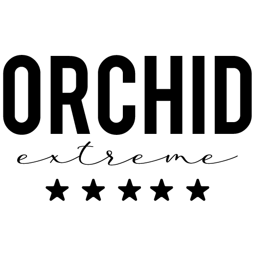 BRANDS logo lunasos-12